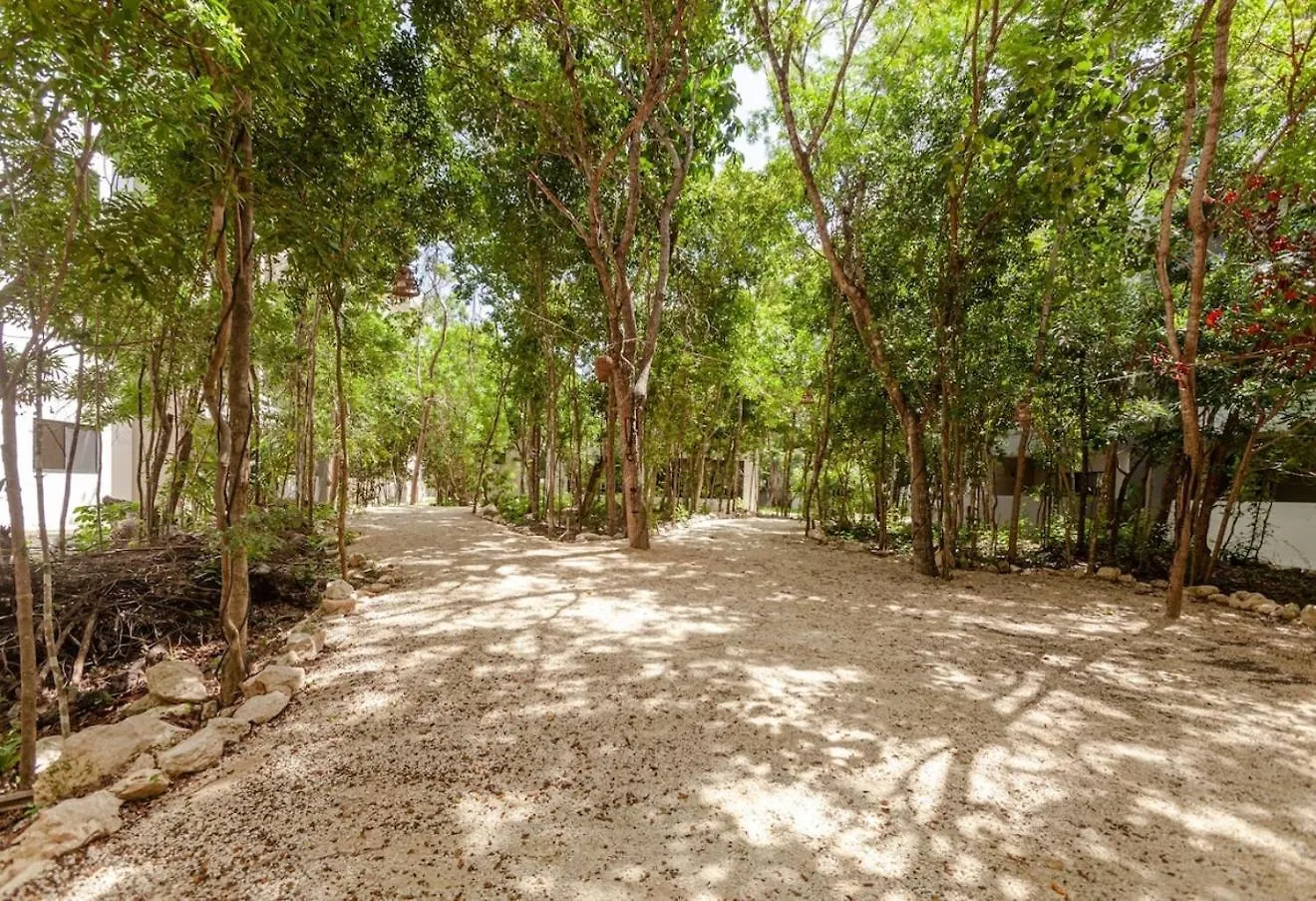 New! Families Paradise10Mincaribbeanwifi 300Mb Playa del Carmen 0*,  Mexico